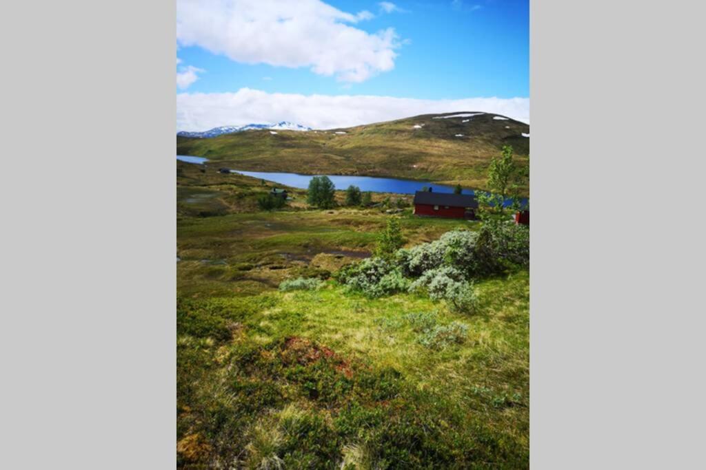 Villa Casa Kleiv I Sogndalsdalen Exterior foto